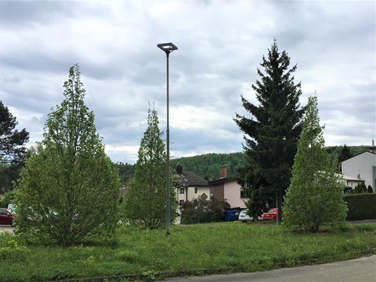 Linden Heldenberg Copy