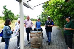 Quittenlehrpfad Rast Bild 2